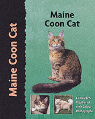 Main Coon Cat - Tracey K. Hayman