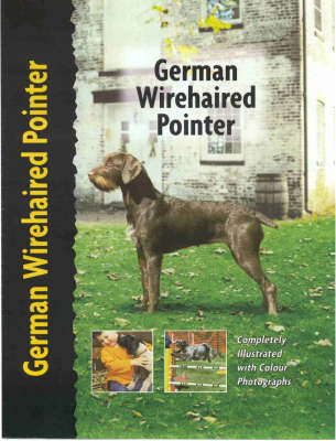 German Wirehaired Pointer - Ute Wand