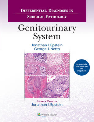 Differential Diagnoses in Surgical Pathology: Genitourinary System -  Jonathan I. Epstein,  George J. Netto