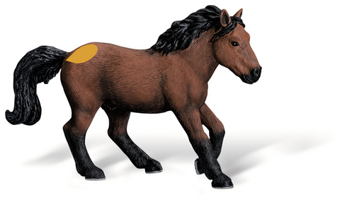 tiptoi® Dartmoor Pony