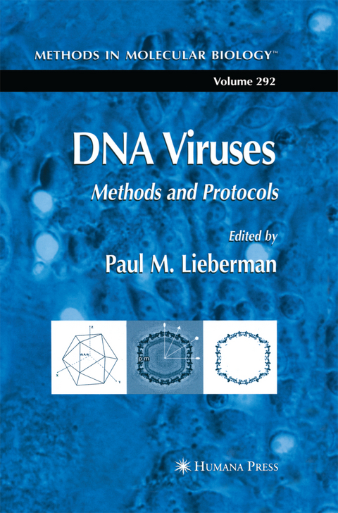 DNA Viruses - 