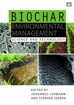 Biochar for Environmental Management - 