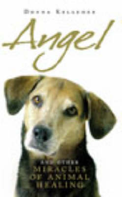 Angel - Donna Kelleher