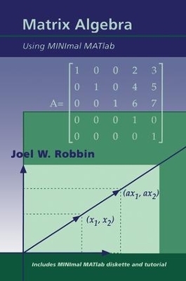 Matrix Algebra Using MINimal MATlab - Joel W. Robbin