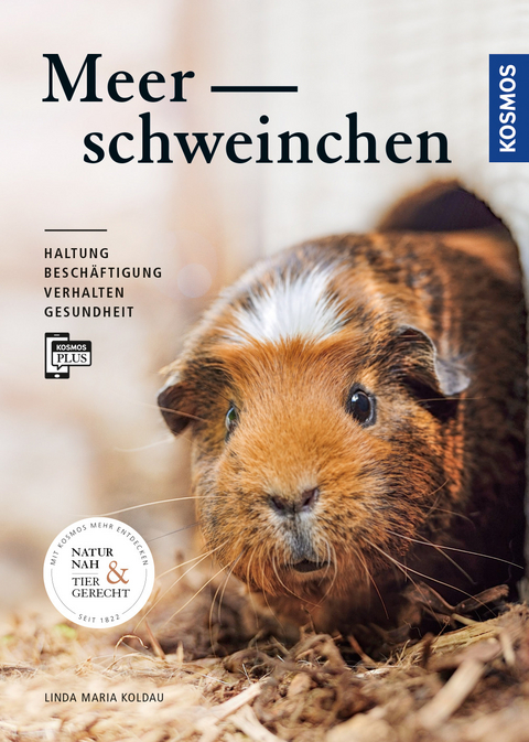 Meerschweinchen - Linda Maria Koldau