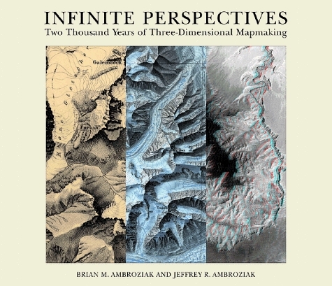 Infinite Perspectives - Brian M. Ambroziak, Jeffrey R. Ambroziak