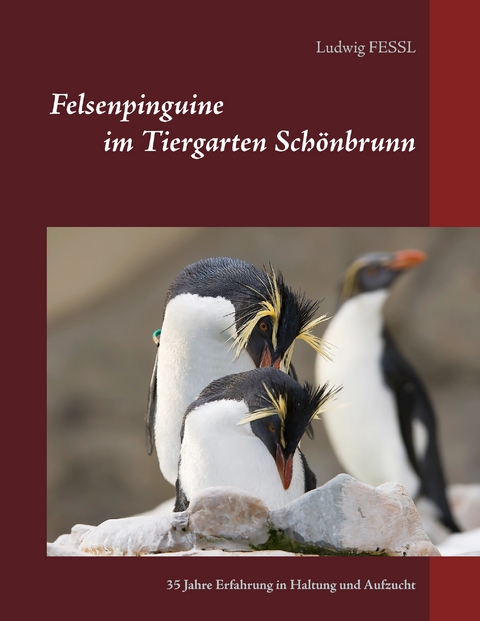 Felsenpinguine im Tiergarten Schönbrunn - Ludwig Fessl