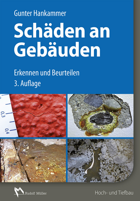 Schäden an Gebäuden - E-Book (PDF) -  Gunter Hankammer