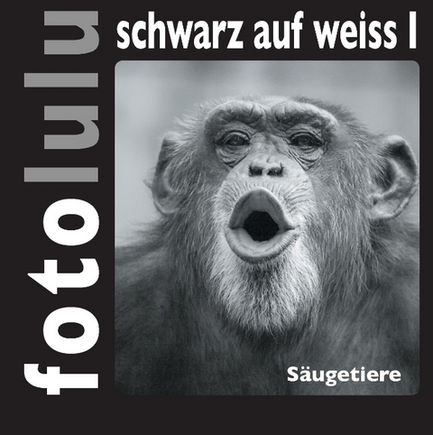 fotolulu schwarz auf weiss I -  fotolulu