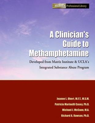 A Clinician's Guide to Methamphetamine - Jeanne L. Obert, Patricia Marinelli-Casey, Michael J McCann, Richard A Rawson