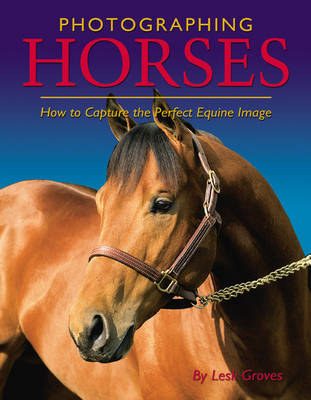 Photographing Horses - Lesli Groves