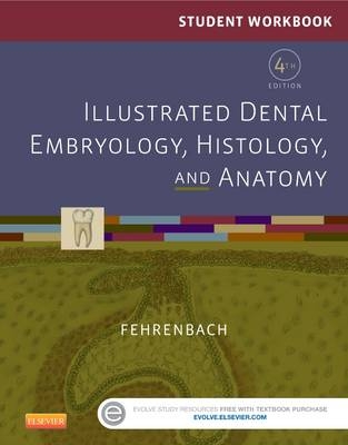 Student Workbook for Illustrated Dental Embryology, Histology and Anatomy - Margaret J. Fehrenbach