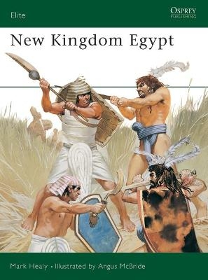 New Kingdom Egypt - Mark Healy