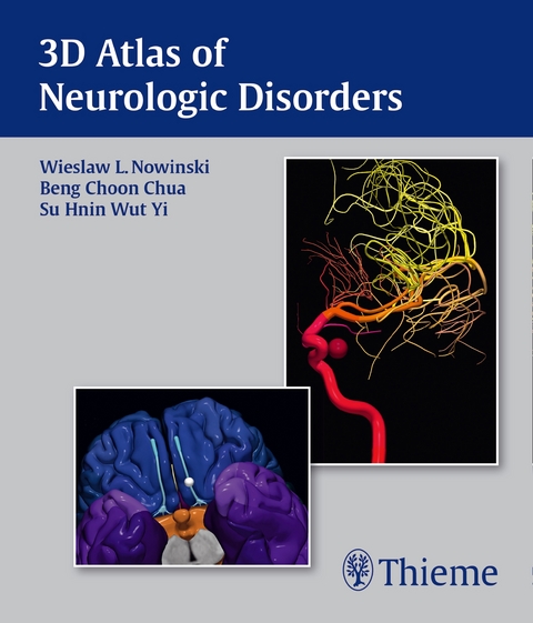 3D Atlas of Neurologic Disorders - Wieslaw L Nowinski, Beng Choon Chua, Su Hnin Wut Yi