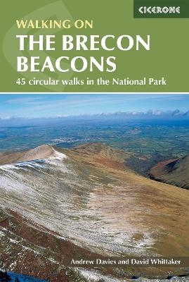 Walking on the Brecon Beacons - Andy Davies, David Whittaker