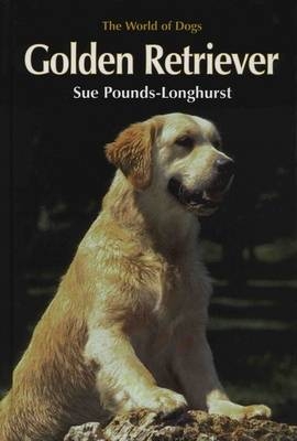 Golden Retriever - Sue Pounds-Longhurst