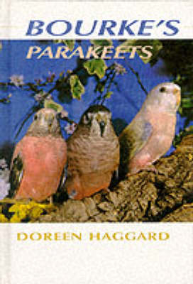 Bourke's Parakeets - Doreen Haggard