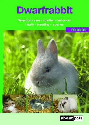 The Dwarf Rabbit