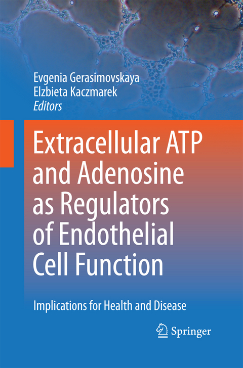 Extracellular ATP and adenosine as regulators of endothelial cell function - 