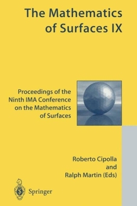 The Mathematics of Surfaces IX - 