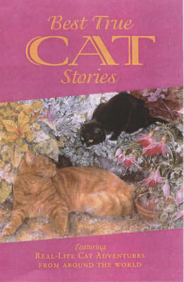 Best True Cat Stories