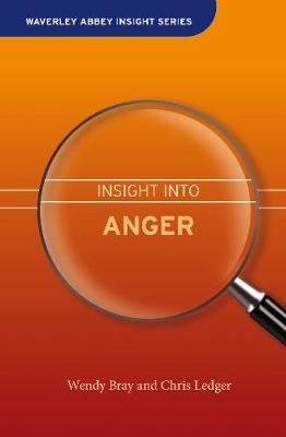 Insight into Anger - Wendy Bray