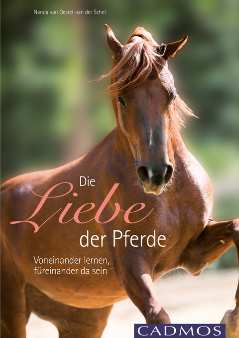 Die Liebe der Pferde - Nanda van Gestel - van der Schel