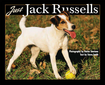 Just Jack Russells - Steve Smith