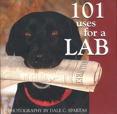 101 Uses for a Lab -  Willow Creek Press