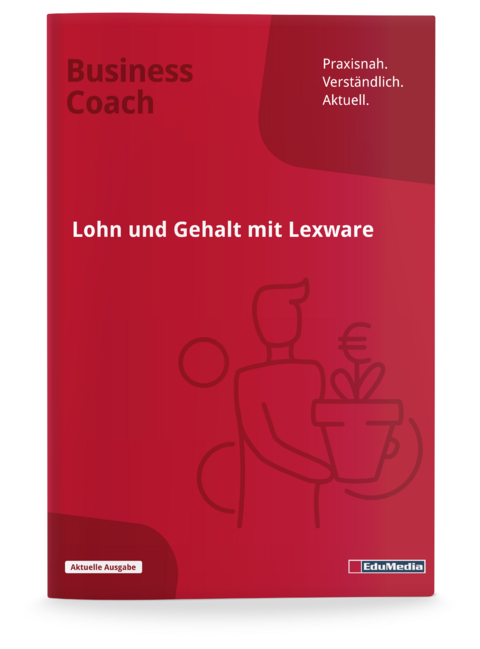 Lohn und Gehalt mit Lexware - Steffen Ismer