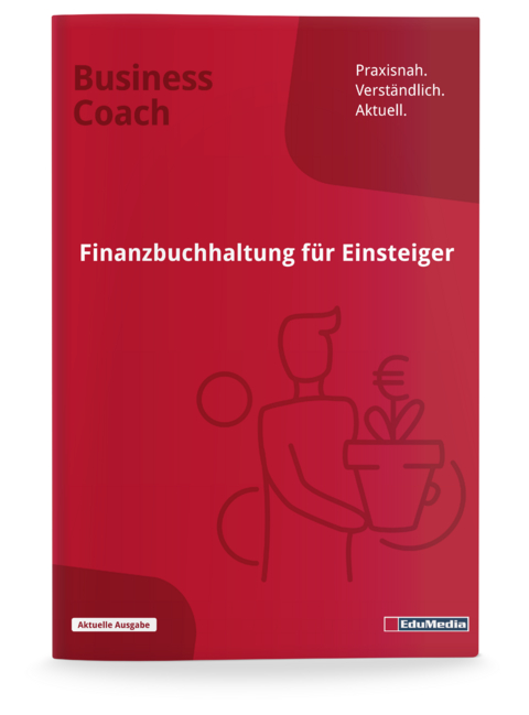 Finanzbuchhaltung für Einsteiger - Eva-Verena Hernandez