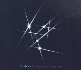 Walking On A Flashlight, 1 Audio-CD -  Lunatic Soul