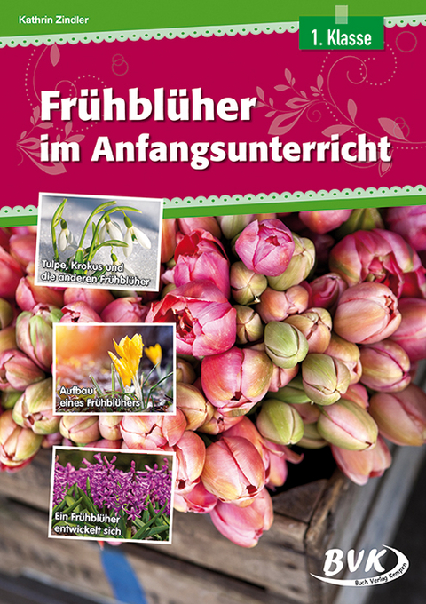 Frühblüher im Anfangsunterricht - Kathrin Zindler