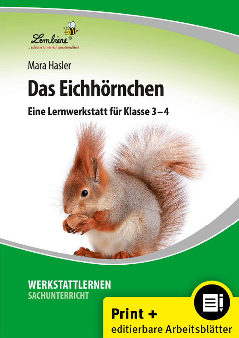 Das Eichhörnchen - Mara Hasler