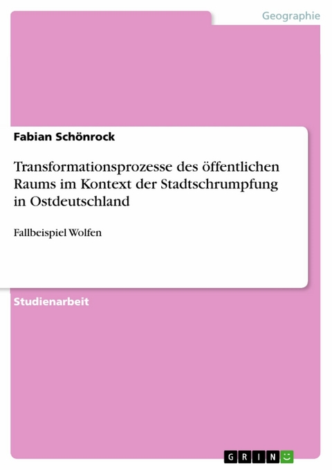 Transformationsprozesse des öffentlichen Raums im Kontext der Stadtschrumpfung in Ostdeutschland - Fabian Schönrock