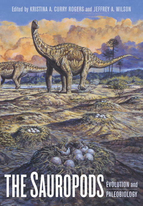 The Sauropods - 