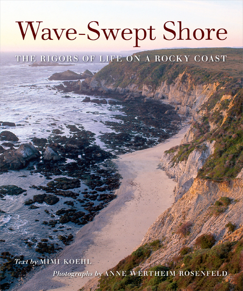 Wave-Swept Shore - Mimi A. R. Koehl