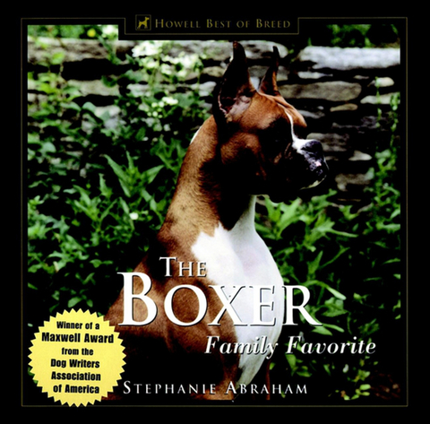 The Boxer - Stephanie Abraham