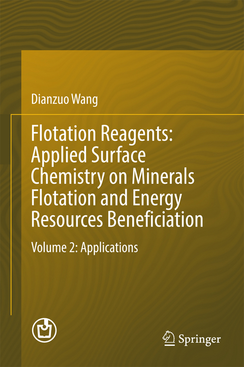 Flotation Reagents: Applied Surface Chemistry on Minerals Flotation and Energy Resources Beneficiation -  Dianzuo Wang