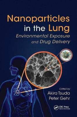 Nanoparticles in the Lung - 