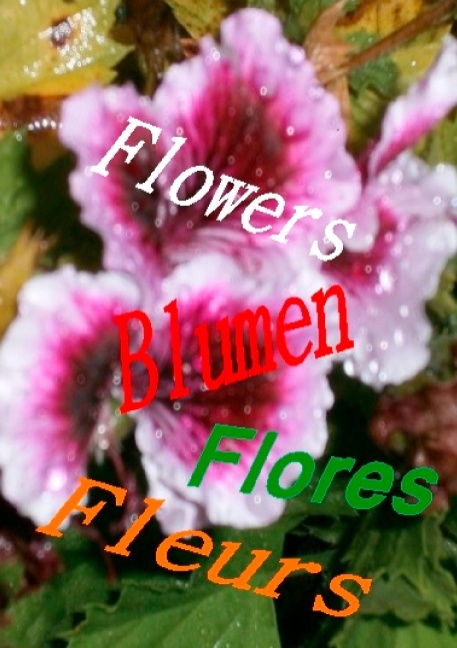 Flowers Blumen Fleurs Flores - Hendrik Jakobsen