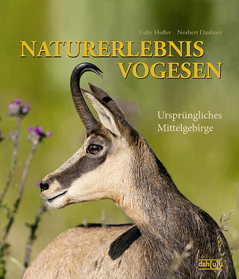 NATURERLEBNIS VOGESEN - Gaby Hufler, Norbert Daubner