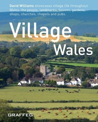 Village Wales - David Williams