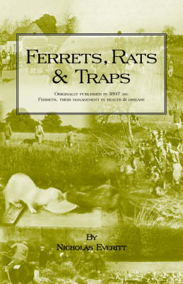 Ferrets, Rats and Traps - Nicholas Everitt