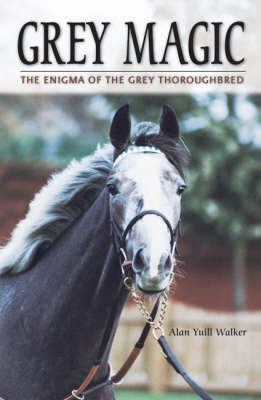 Grey Magic - Alan Yuill Walker