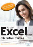 Microsoft Excel 2003 Interactive Course