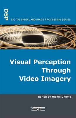 Visual Perception Through Video Imagery - 