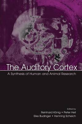 The Auditory Cortex - 