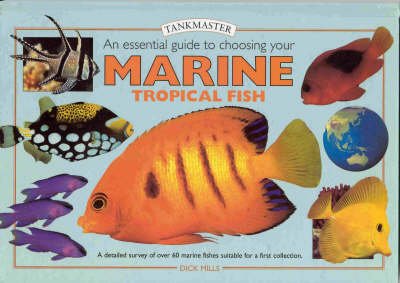 An Essential Guide to Choosing Your Marine Tropical Fish - Dick Mills