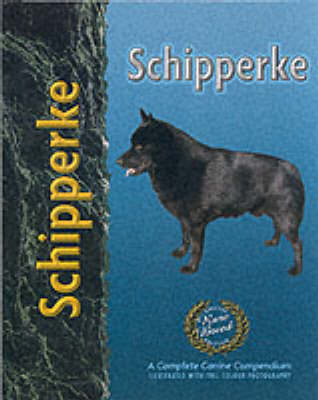 Schipperke - Robert Pollet